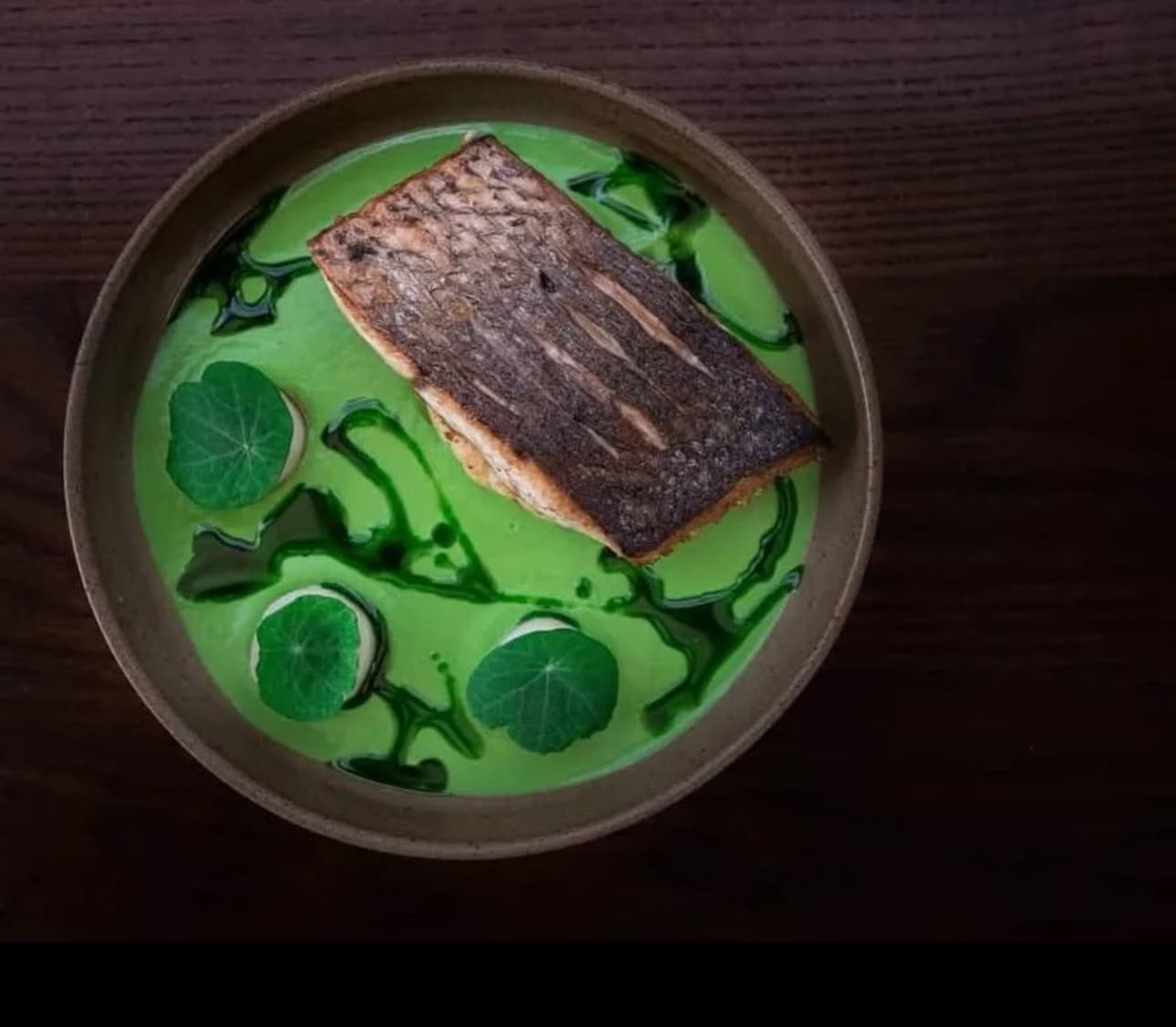 Refined plated dish from a Gregos fine-dining event